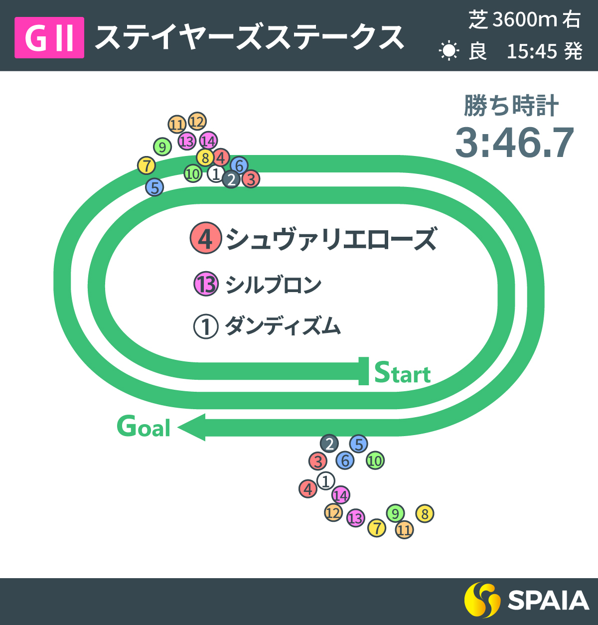 2024年ステイヤーズSのレース回顧,ⒸSPAIA