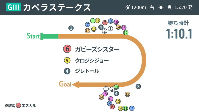 【カペラS回顧】父アポロキングダムに初の平地重賞勝利をプレゼント　3歳牝馬ガビーズシスターが得意舞台で輝く　