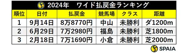 2024年　ワイド払戻金ランキング