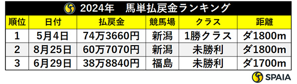 2024年　馬単払戻金ランキング