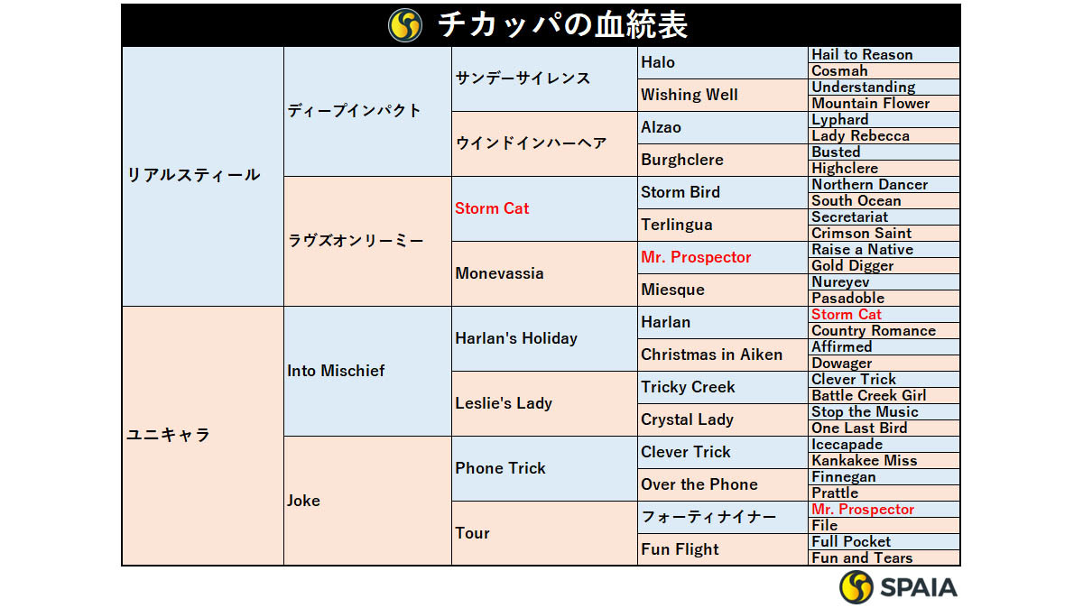 チカッパの血統表,ⒸSPAIA