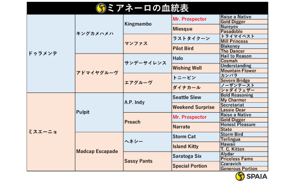 ミアネーロの血統表,ⒸSPAIA