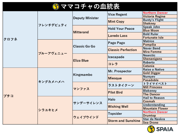 ママコチャの血統表,ⒸSPAIA