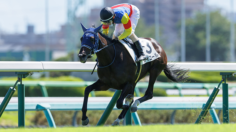 【フェアリーS】高回収率の赤松賞組がやや優勢　レイユールは中山芝1600mへのコース替わり歓迎