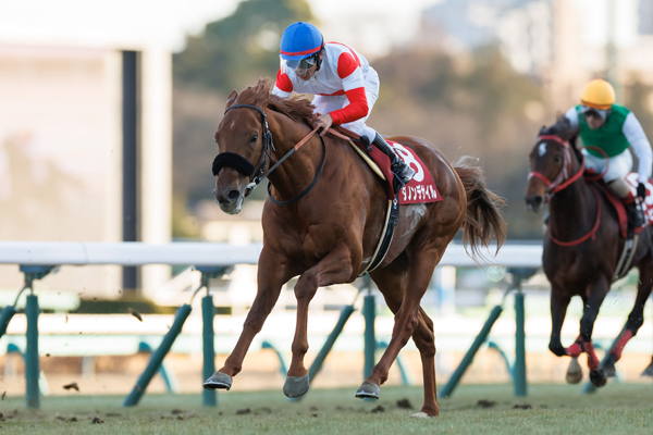 ダノンデサイルとのコンビでAJCCを制した戸崎圭太騎手,ⒸSPAIA