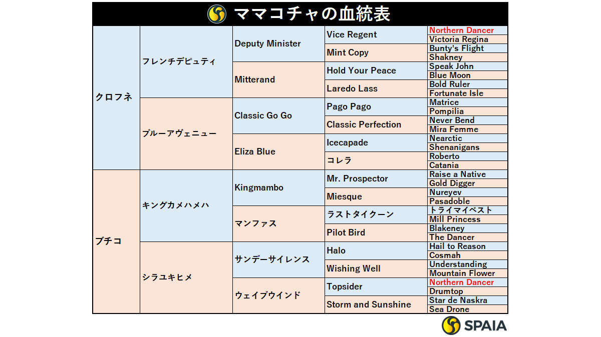 ママコチャの血統表,ⒸSPAIA