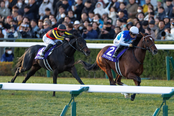 25年弥生賞ディープインパクト記念に出走予定のミュージアムマイル,ⒸSPAIA（撮影：三木俊幸）