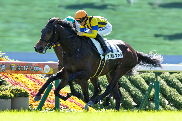 25年弥生賞ディープインパクト記念に出走予定のナグルファル,ⒸSPAIA（撮影：三木俊幸）