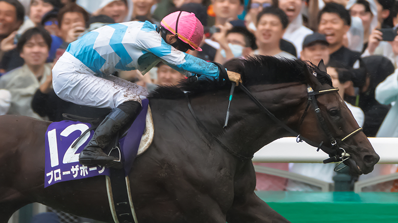 【阪神大賞典】有馬記念組は過去10年で複勝率64.7%　唯一該当ブローザホーンは復調のきっかけ掴めるか