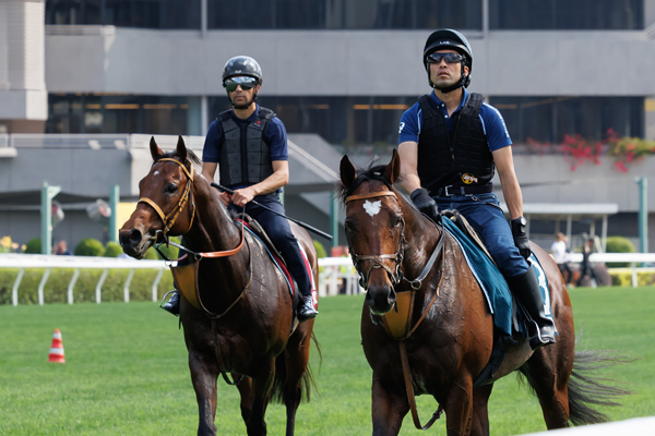 併せ馬で追い切ったタスティエーラとサトノレーヴ,ⒸSPAIA(撮影:三木俊幸)