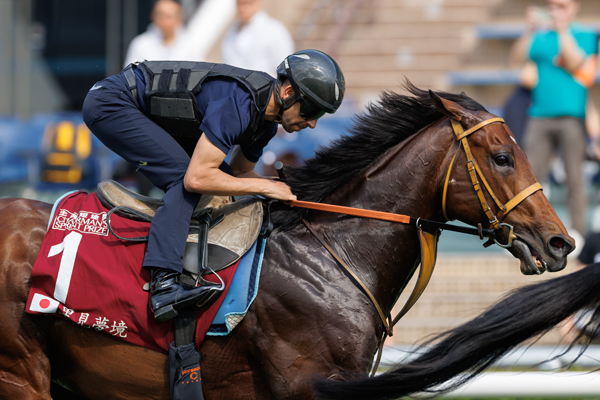 サトノレーヴ,ⒸSPAIA（撮影：三木俊幸）