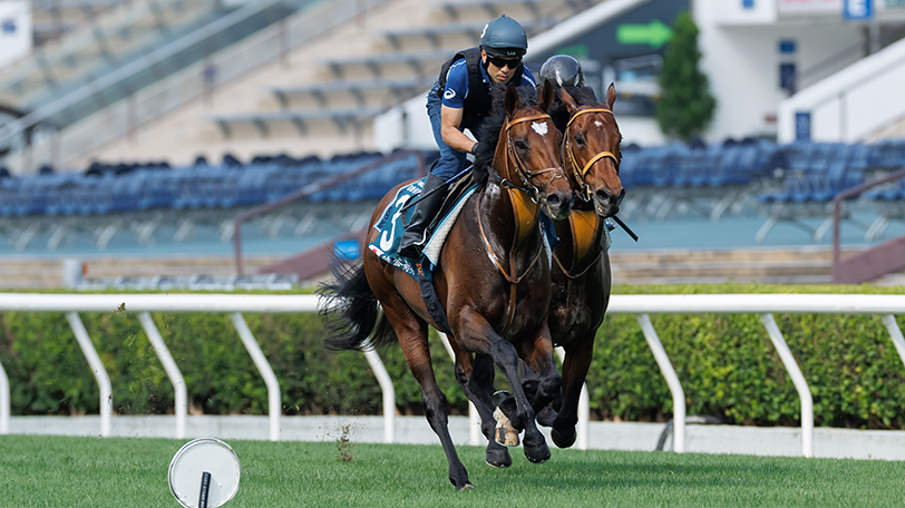 タスティエーラとサトノレーヴ,ⒸSPAIA（撮影：三木俊幸）