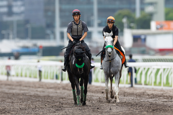 ルガル＆ガイアフォース,ⒸSPAIA（撮影：三木俊幸）