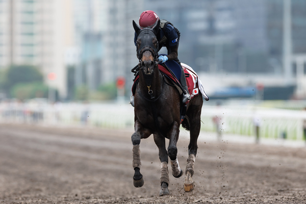 エイシンフェンサー,ⒸSPAIA（撮影：三木俊幸）