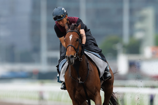 リバティアイランド,ⒸSPAIA（撮影：三木俊幸）