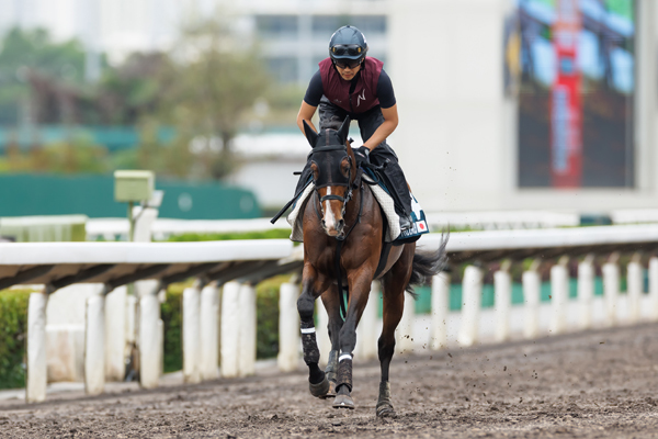 リバティアイランド,ⒸSPAIA（撮影：三木俊幸）