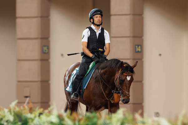 パドックスクーリングに向かうタスティエーラ,ⒸSPAIA（撮影：三木俊幸）