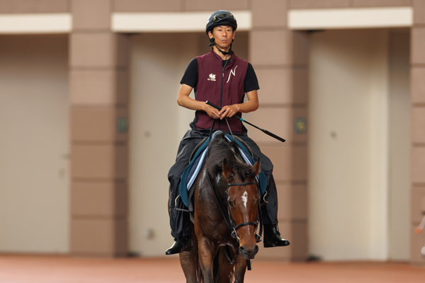 パドックスクーリングに向かうリバティアイランド,ⒸSPAIA（撮影：三木俊幸）