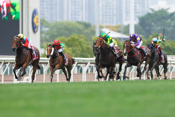 2025年チェアマンズスプリントプライズ,ⒸSPAIA（撮影：三木俊幸）