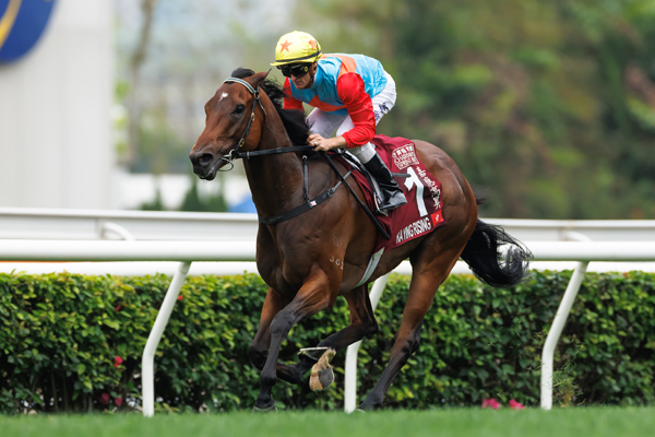 2025年チェアマンズスプリントプライズ勝ち馬カーインライジング,ⒸSPAIA（撮影：三木俊幸）