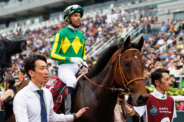 サトノレーヴ,ⒸSPAIA（撮影：三木俊幸）