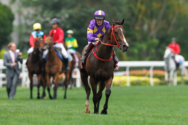 ヘリオスエクスプレス,ⒸSPAIA（撮影：三木俊幸）