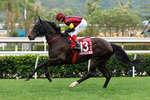 エイシンフェンサー,ⒸSPAIA（撮影：三木俊幸）