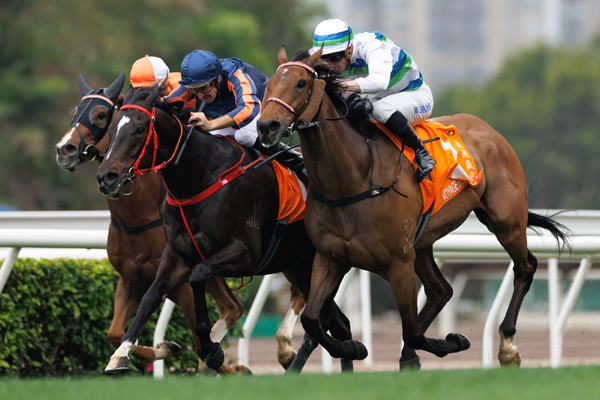 2025年チャンピオンズマイル,ⒸSPAIA（撮影：三木俊幸）