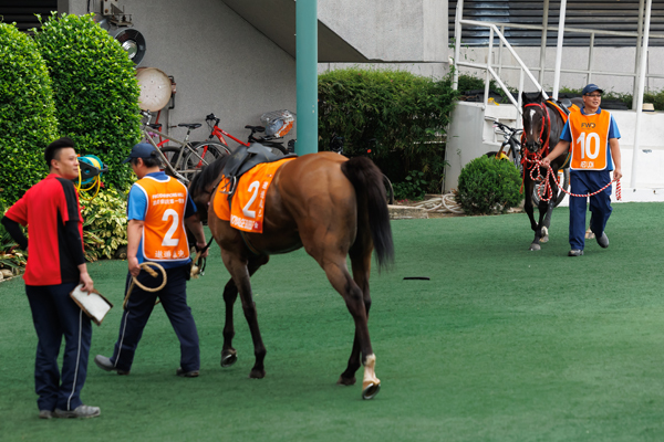 2025年チャンピオンズマイル,ⒸSPAIA（撮影：三木俊幸）