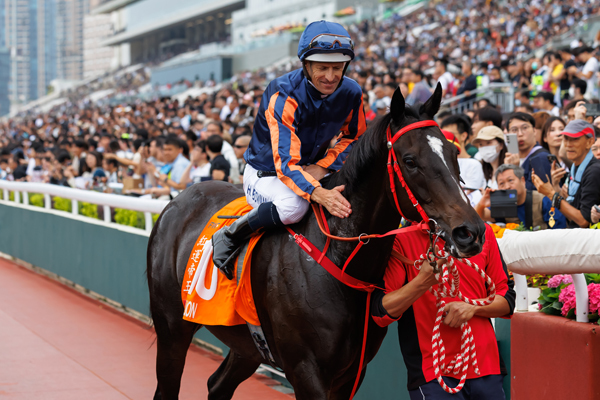 2025年チャンピオンズマイル勝ち馬レッドライオン,ⒸSPAIA（撮影：三木俊幸）