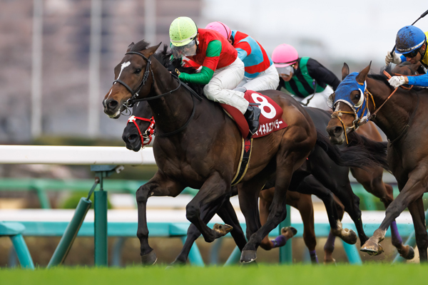 マイネルエンペラー,ⒸSPAIA（撮影：三木俊幸）