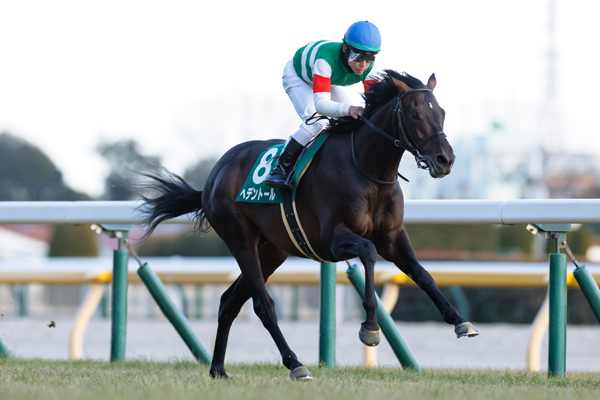 ヘデントール,ⒸSPAIA（撮影：三木俊幸）