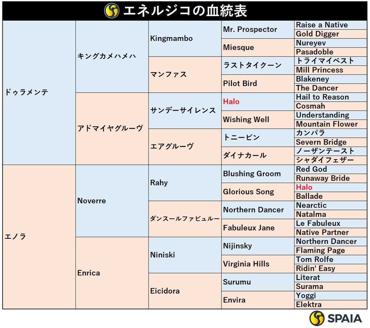 エネルジコの血統表,ⒸSPAIA