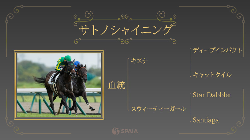 サトノシャイニング,ⒸSPAIA