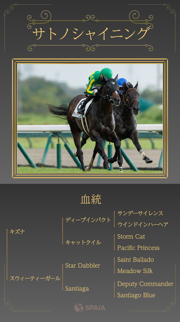 サトノシャイニングの血統,ⒸSPAIA