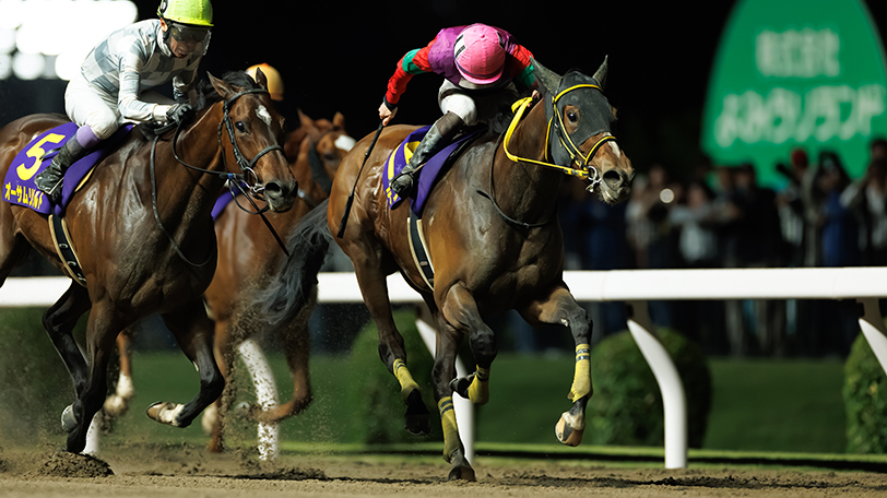 【エンプレス杯回顧】テンカジョウが接戦を制して重賞3勝目　松山弘平騎手「まだまだ伸びしろがある」