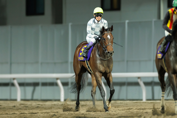 2025年エンプレス杯 2着に敗れたオーサムリザルト,ⒸSPAIA（撮影：三木俊幸）