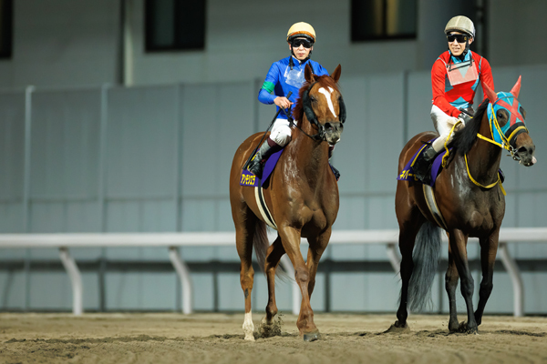2025年エンプレス杯 3着のアンモシエラ,ⒸSPAIA（撮影：三木俊幸）