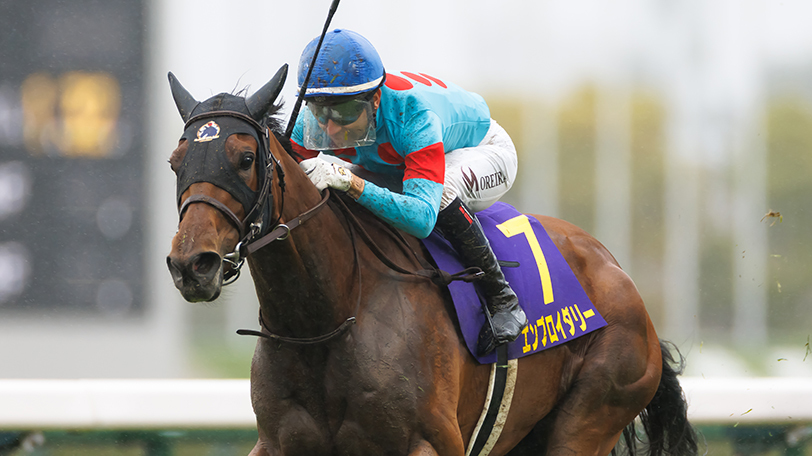 【オークス】桜花賞組が2年連続で馬券内独占、勝ち馬の勝率は50%　エンブロイダリーは2冠達成なるか