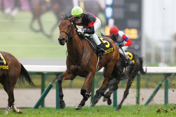 サヴォンリンナ,ⒸSPAIA