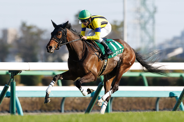 レーゼドラマ,ⒸSPAIA