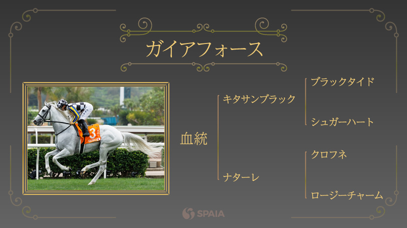 ガイアフォース,ⒸSPAIA