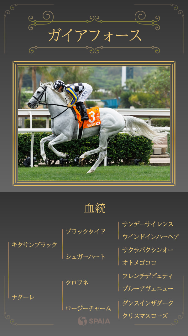 ガイアフォースの血統,ⒸSPAIA