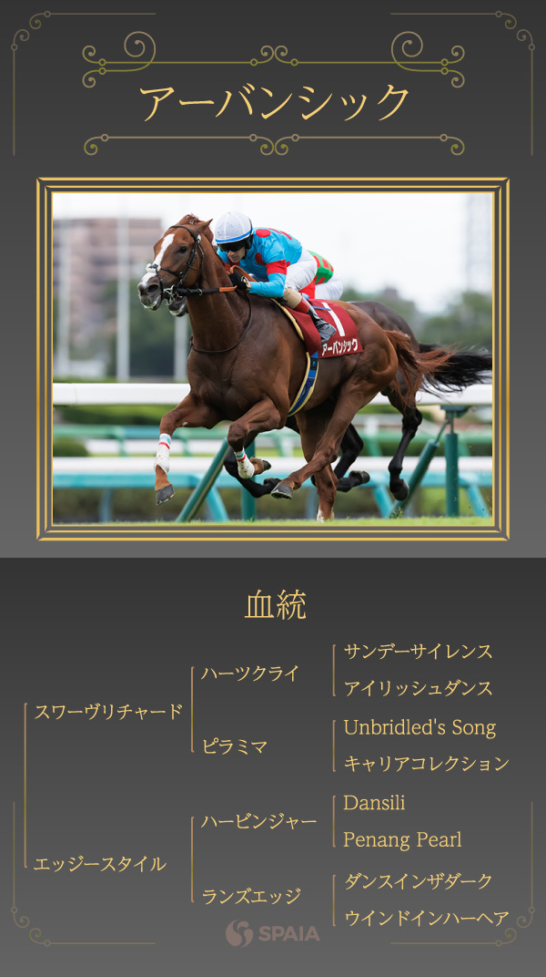 アーバンシックの血統,ⒸSPAIA