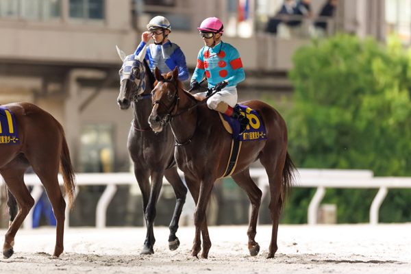 2025年東京ダービー2着馬クレーキング,ⒸSPAIA（撮影：三木俊幸）