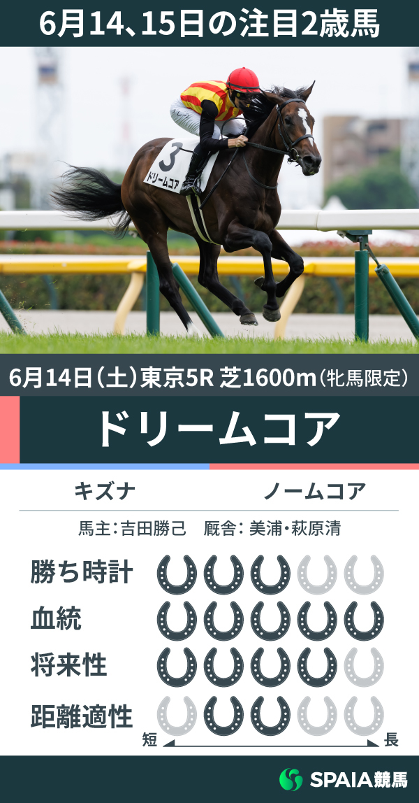 ドリームコア,ⒸSPAIA(撮影:三木俊幸)