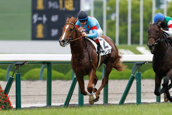 サレジオ,ⒸSPAIA(撮影:三木俊幸)