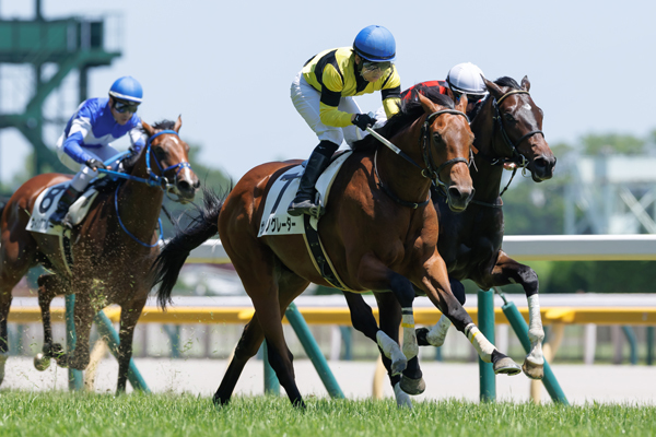 サノノグレーター,ⒸSPAIA（撮影：三木俊幸）