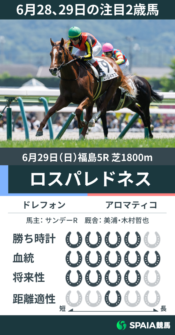 注目2歳馬ロスパレドネス,ⒸSPAIA（撮影：三木俊幸）