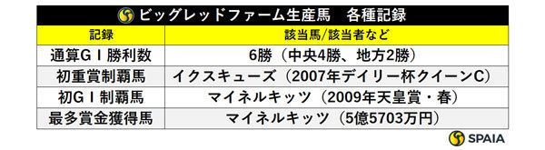 ビッグレッドファーム生産馬　各種記録,ⒸSPAIA